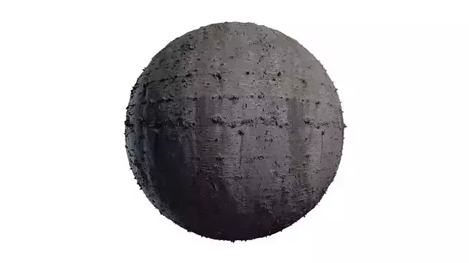 Anydrafts Cedrus deodara Bark 02