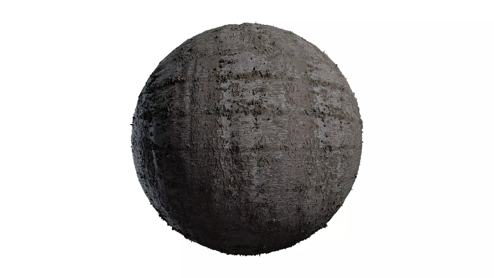 Anydrafts Cedrus deodara Bark 03 Texture