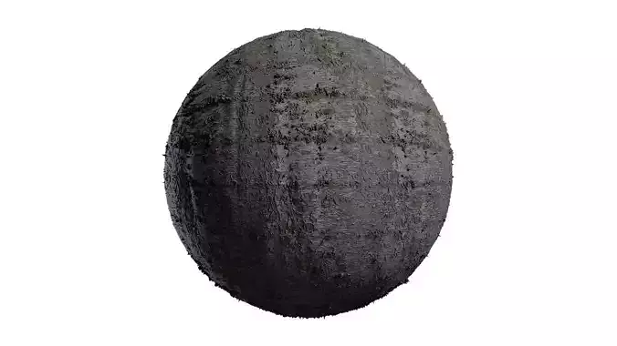 Anydrafts Cedrus deodara Bark 03