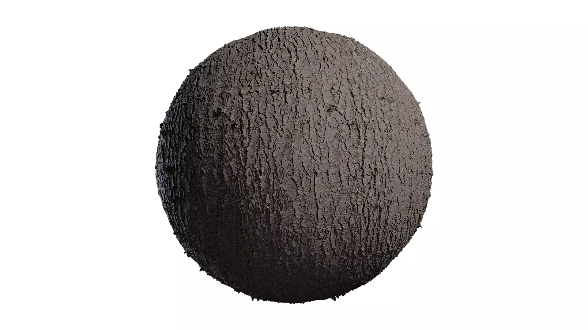Anydrafts Cedrus deodara Bark 04 Texture