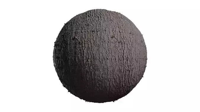 Anydrafts Cedrus deodara Bark 04