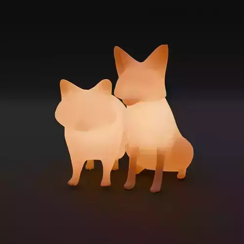 Indirect lighting of raccoon dog and fox