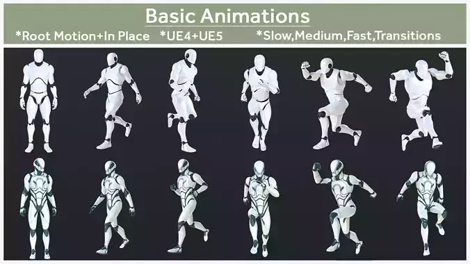 Basic Animations
