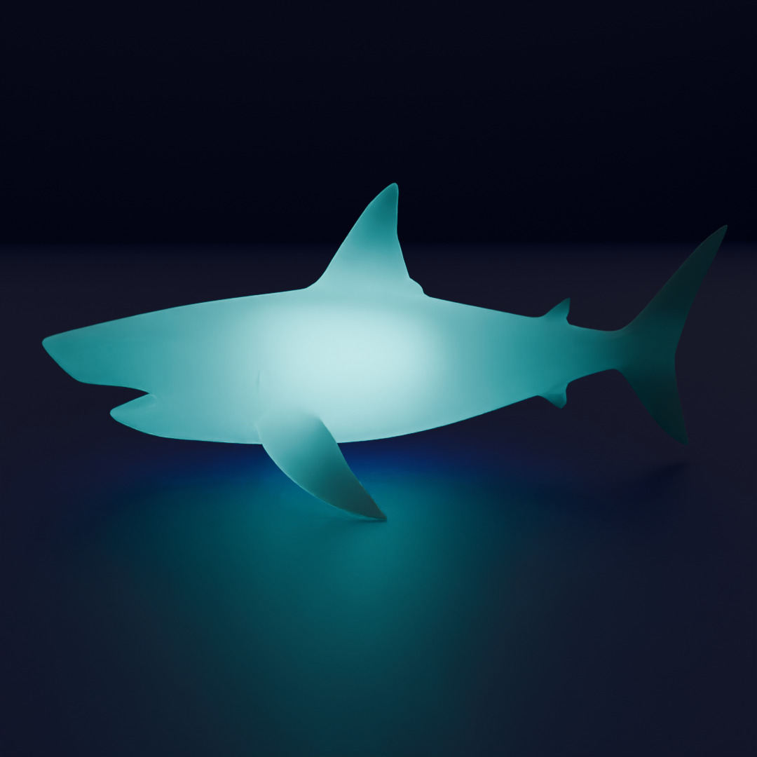 Indirect lighting for large marine creatures 3D model_2