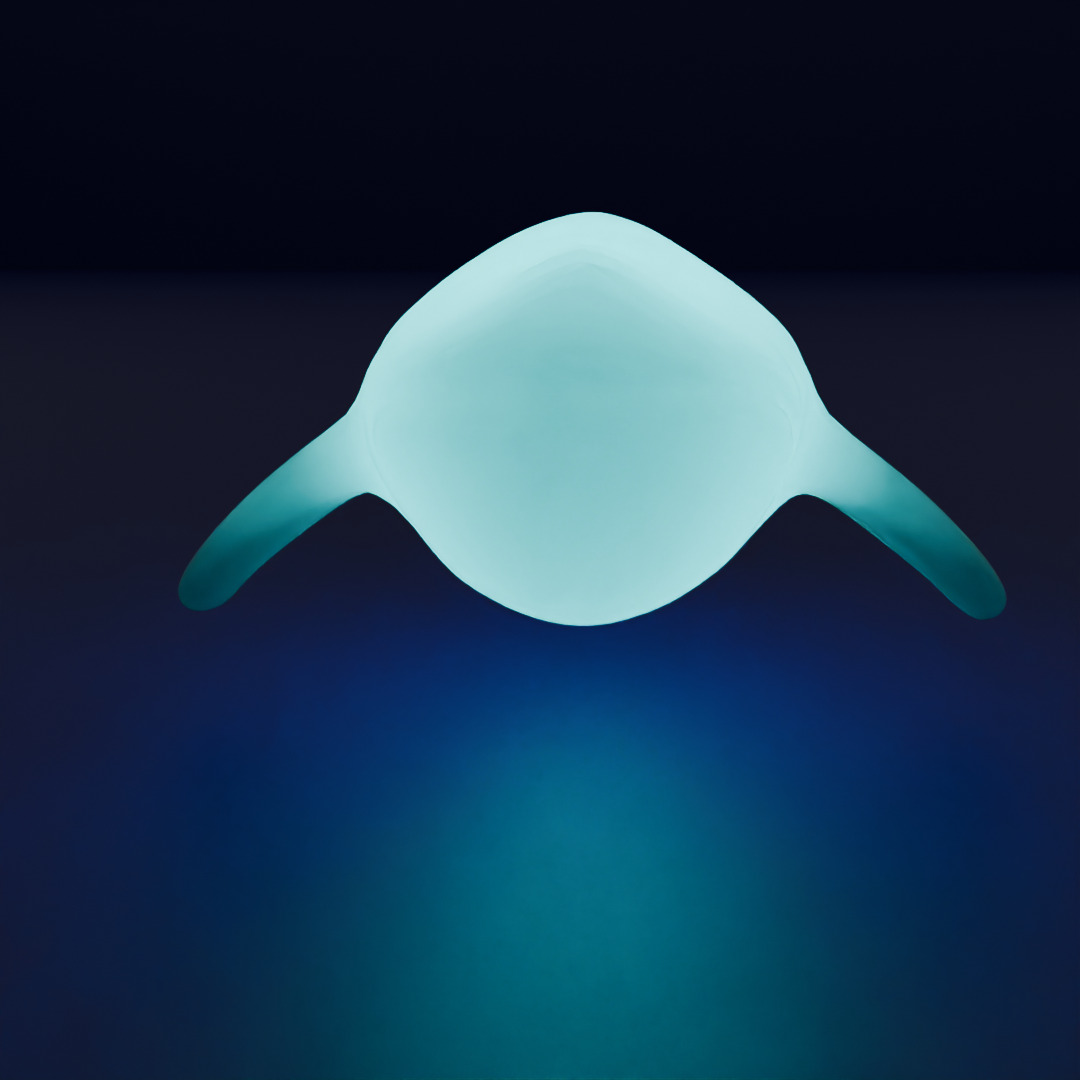 Indirect lighting for large marine creatures 3D model_4