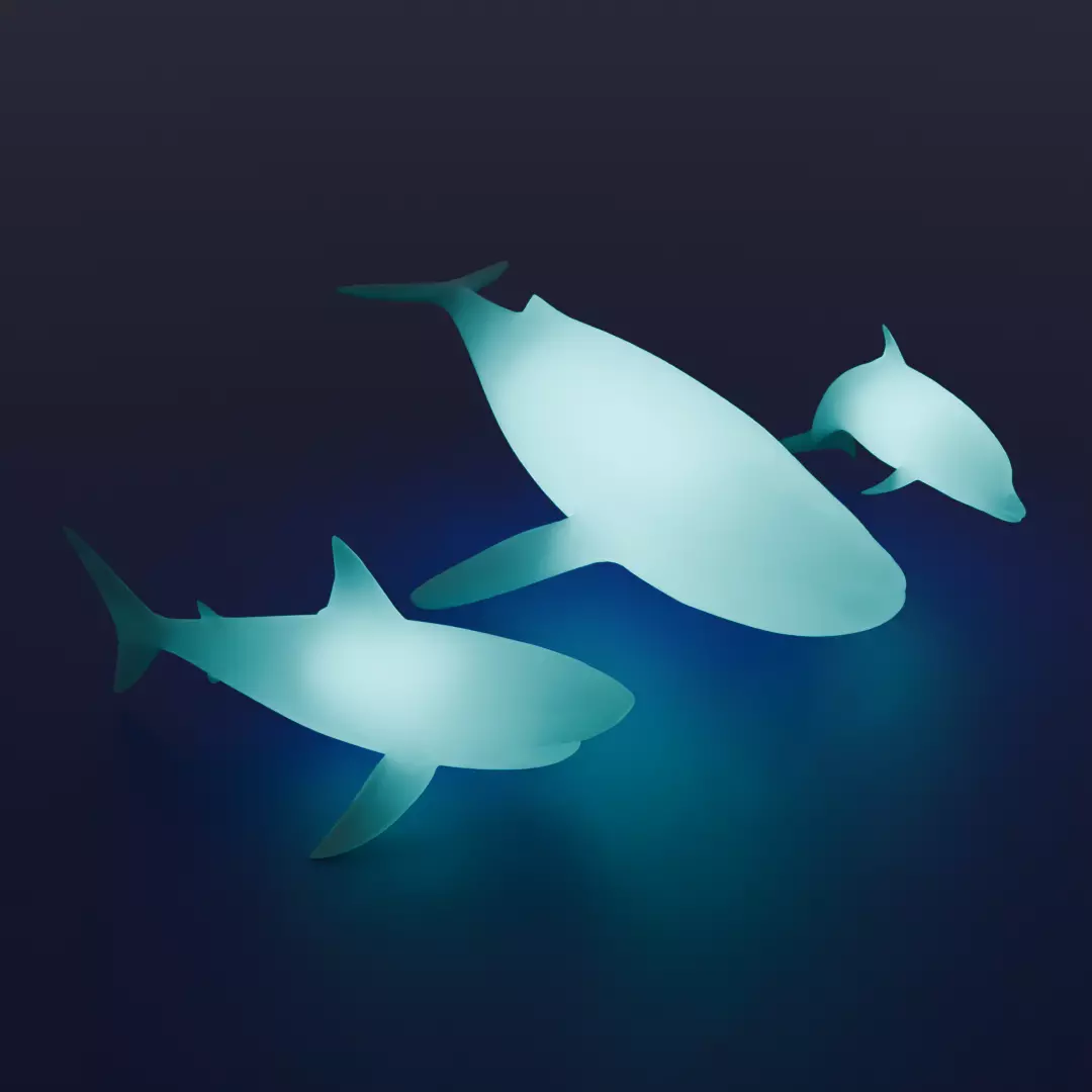 Indirect lighting for large marine creatures 3D model_0