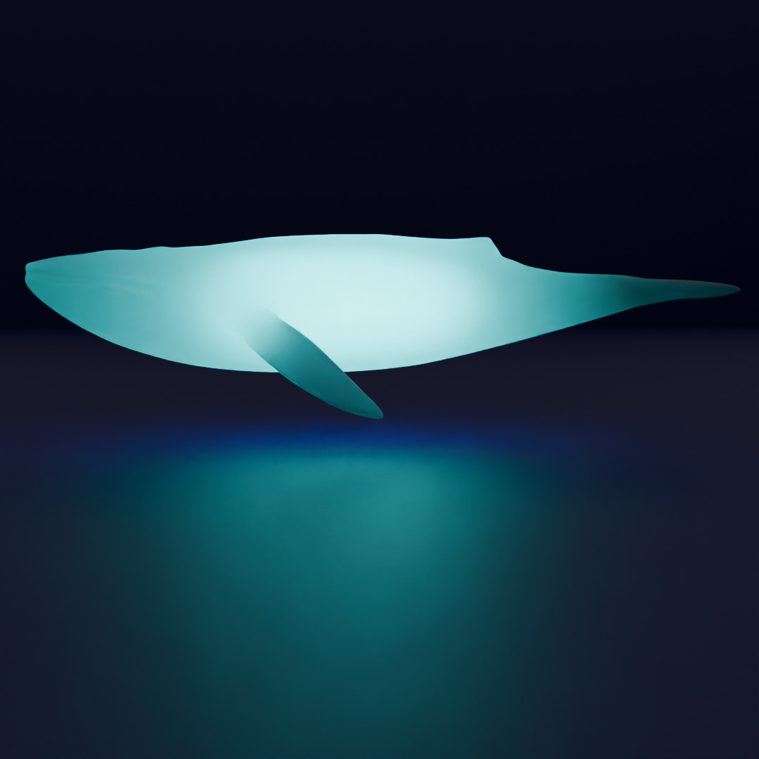 Indirect lighting for large marine creatures 3D model_3