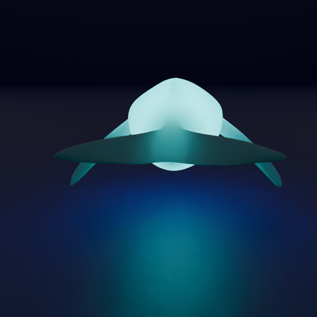 Indirect lighting for large marine creatures 3D model_9