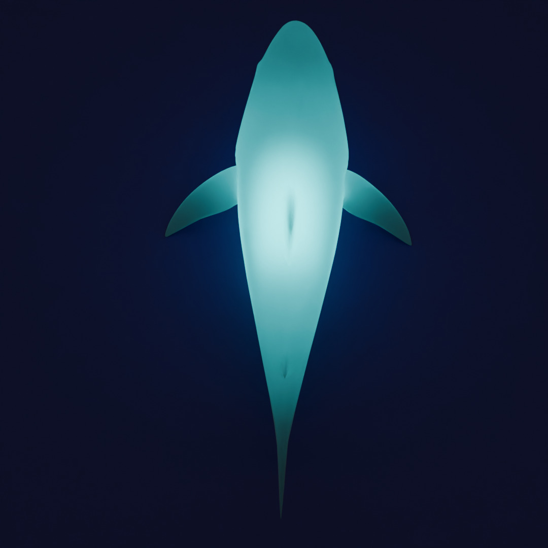 Indirect lighting for large marine creatures 3D model_8