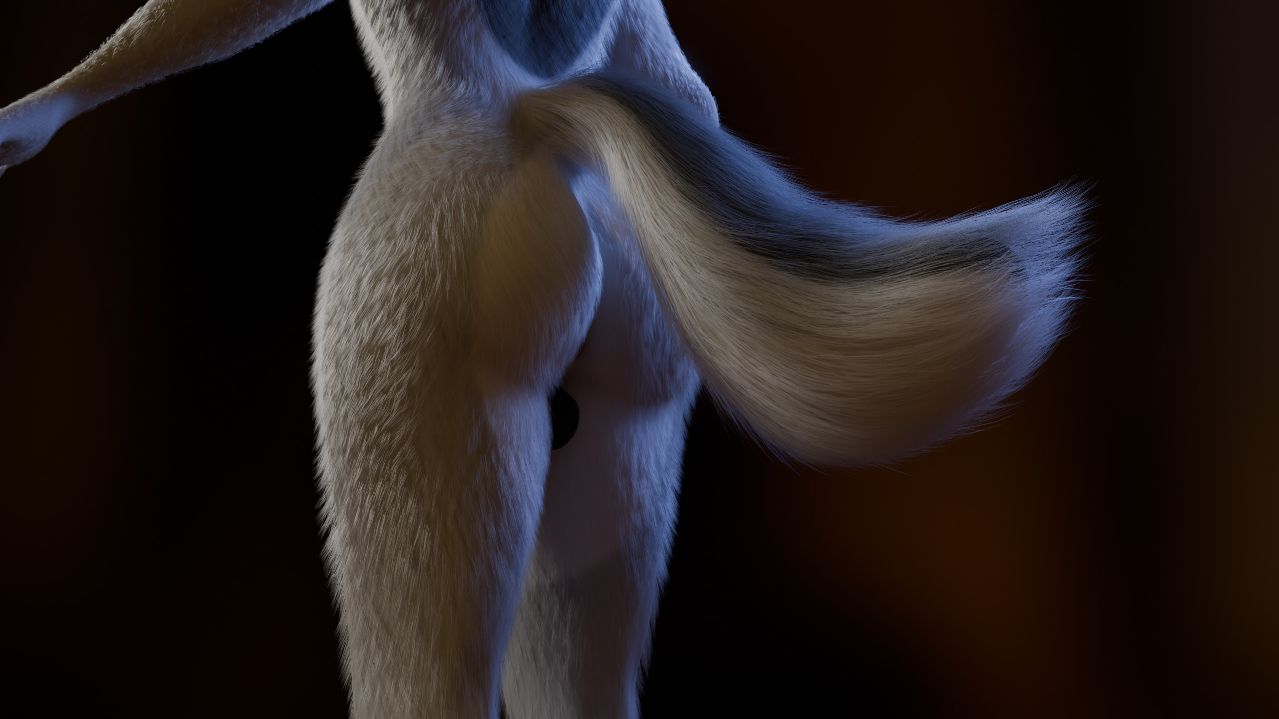 Kovu Anthro Wolf Low-poly 3D model_9