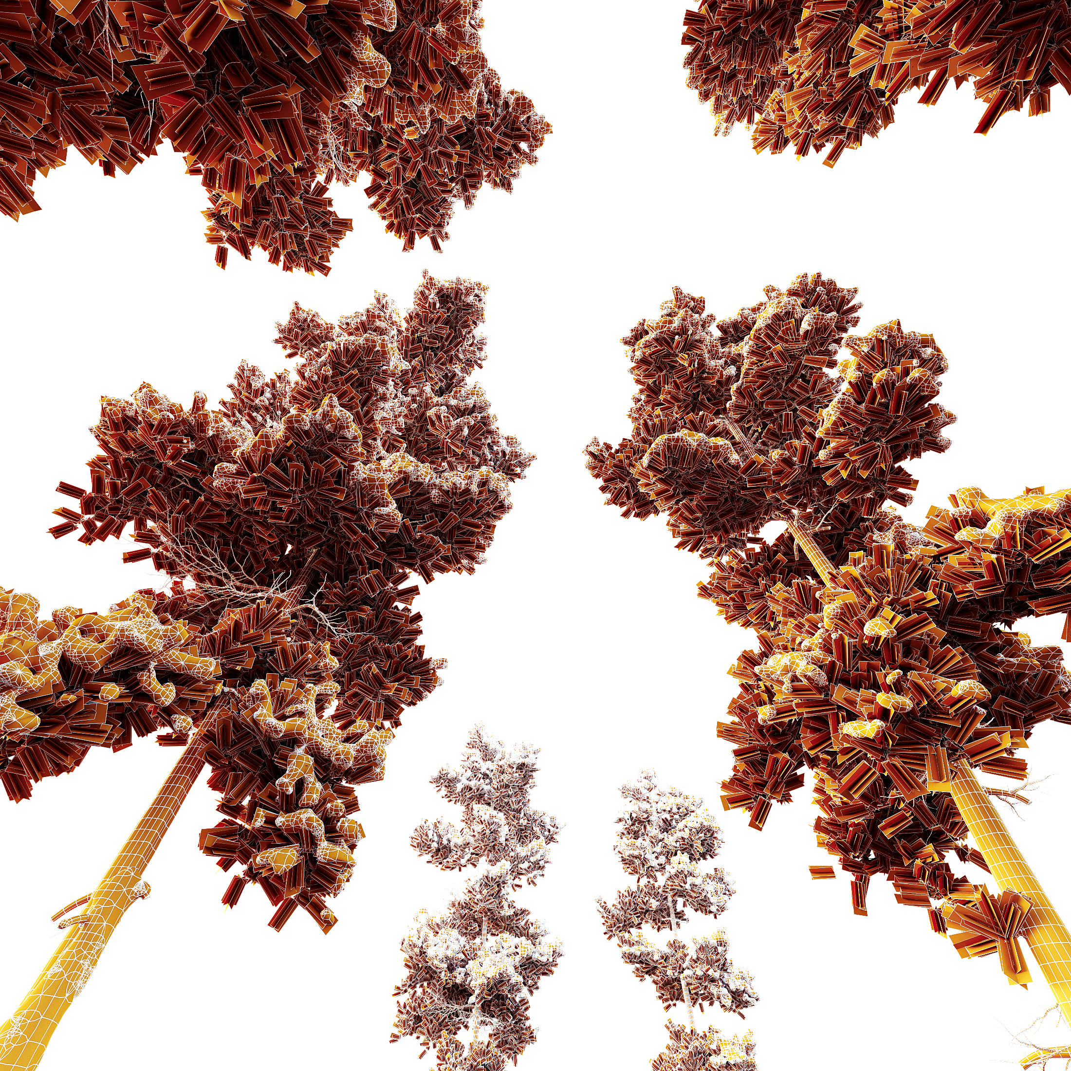 AV Plants Pinus Echinata Winter Snow Set02 3D model_5