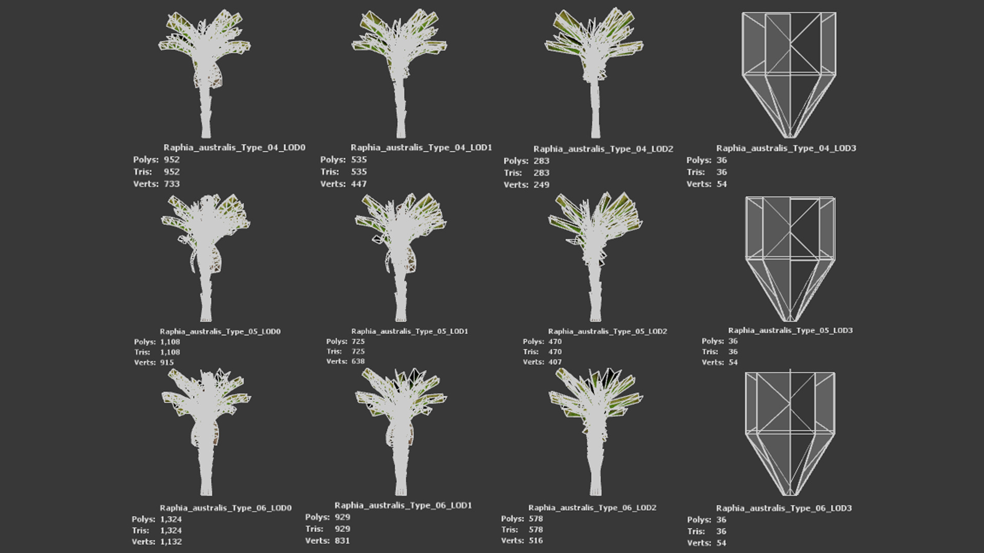 Vulnerable Plant - 6 Raphia australis Conifer Fruit Tree Low-poly 3D model_11