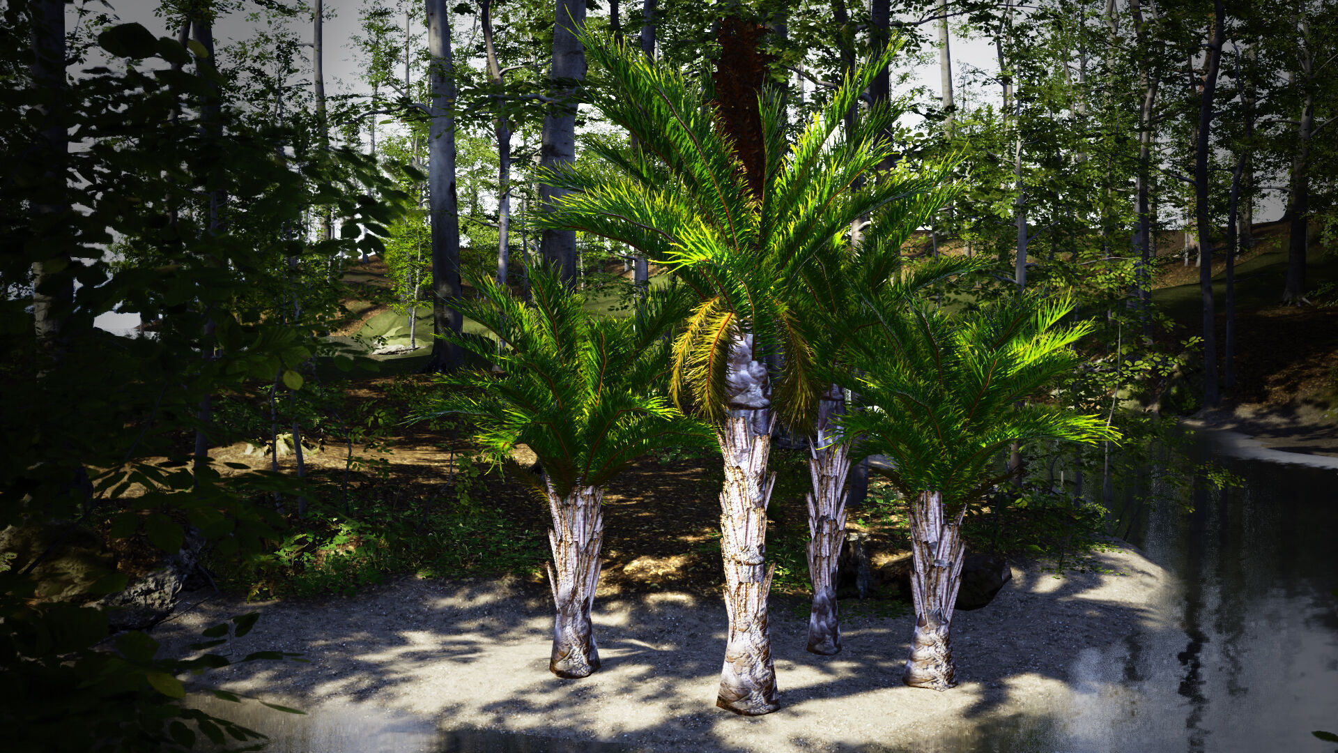 Vulnerable Plant - 6 Raphia australis Conifer Fruit Tree Low-poly 3D model_2