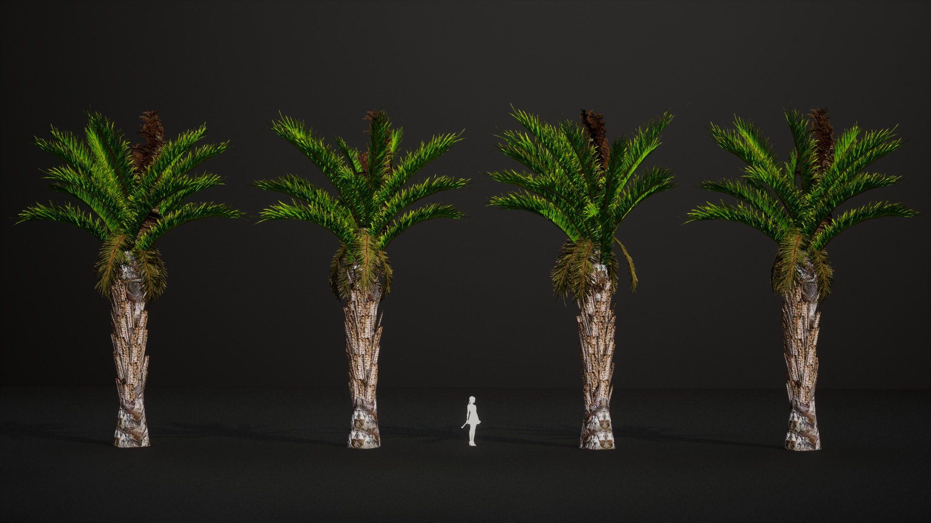 Vulnerable Plant - 6 Raphia australis Conifer Fruit Tree Low-poly 3D model_9