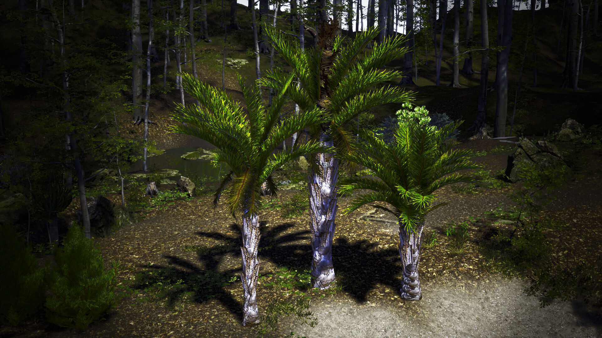 Vulnerable Plant - 6 Raphia australis Conifer Fruit Tree Low-poly 3D model_1