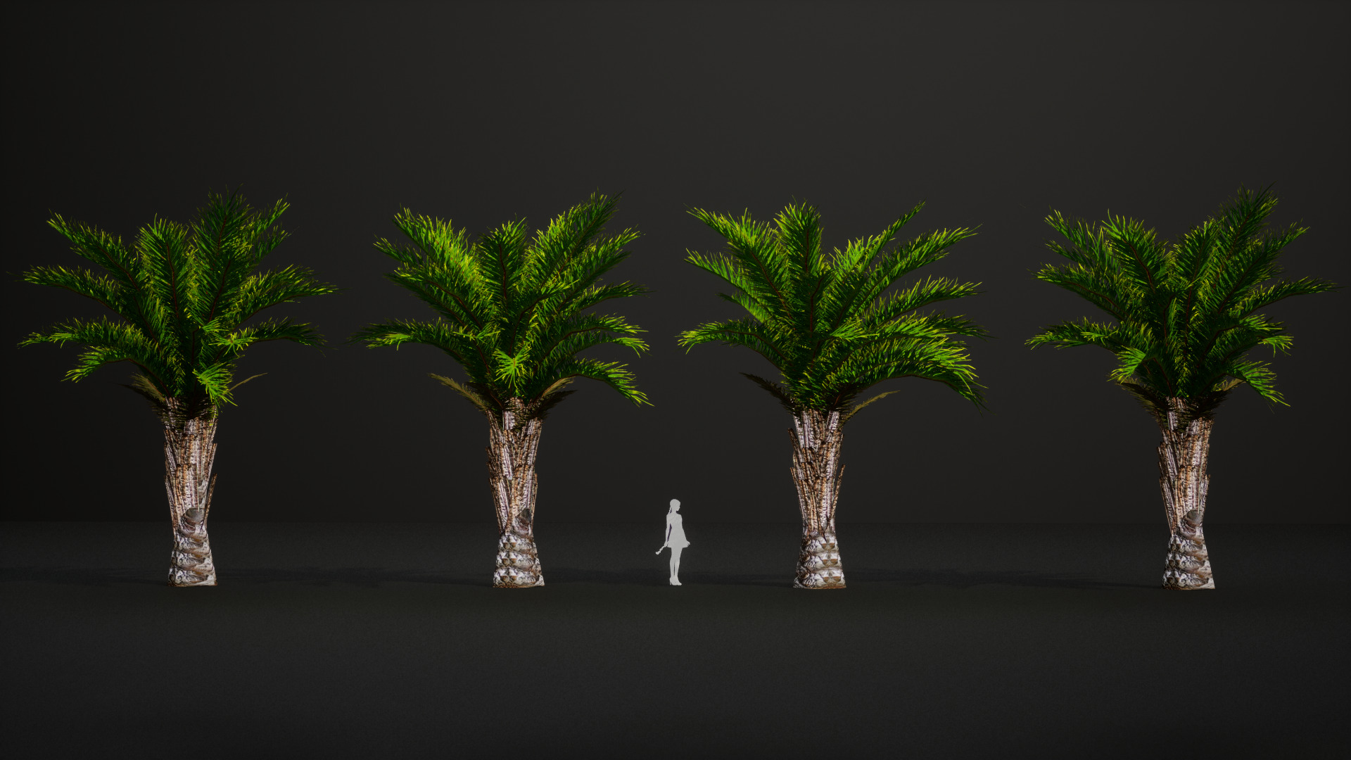 Vulnerable Plant - 6 Raphia australis Conifer Fruit Tree Low-poly 3D model_4