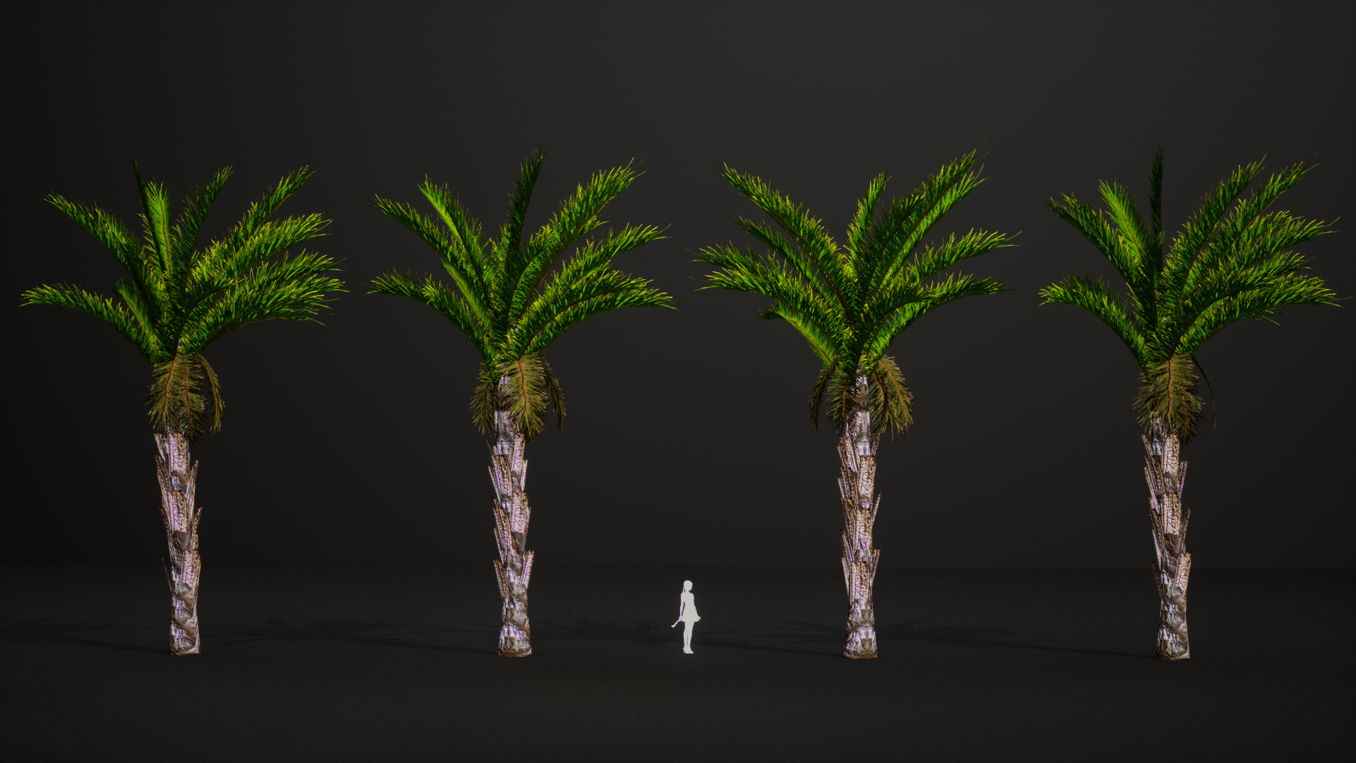 Vulnerable Plant - 6 Raphia australis Conifer Fruit Tree Low-poly 3D model_7