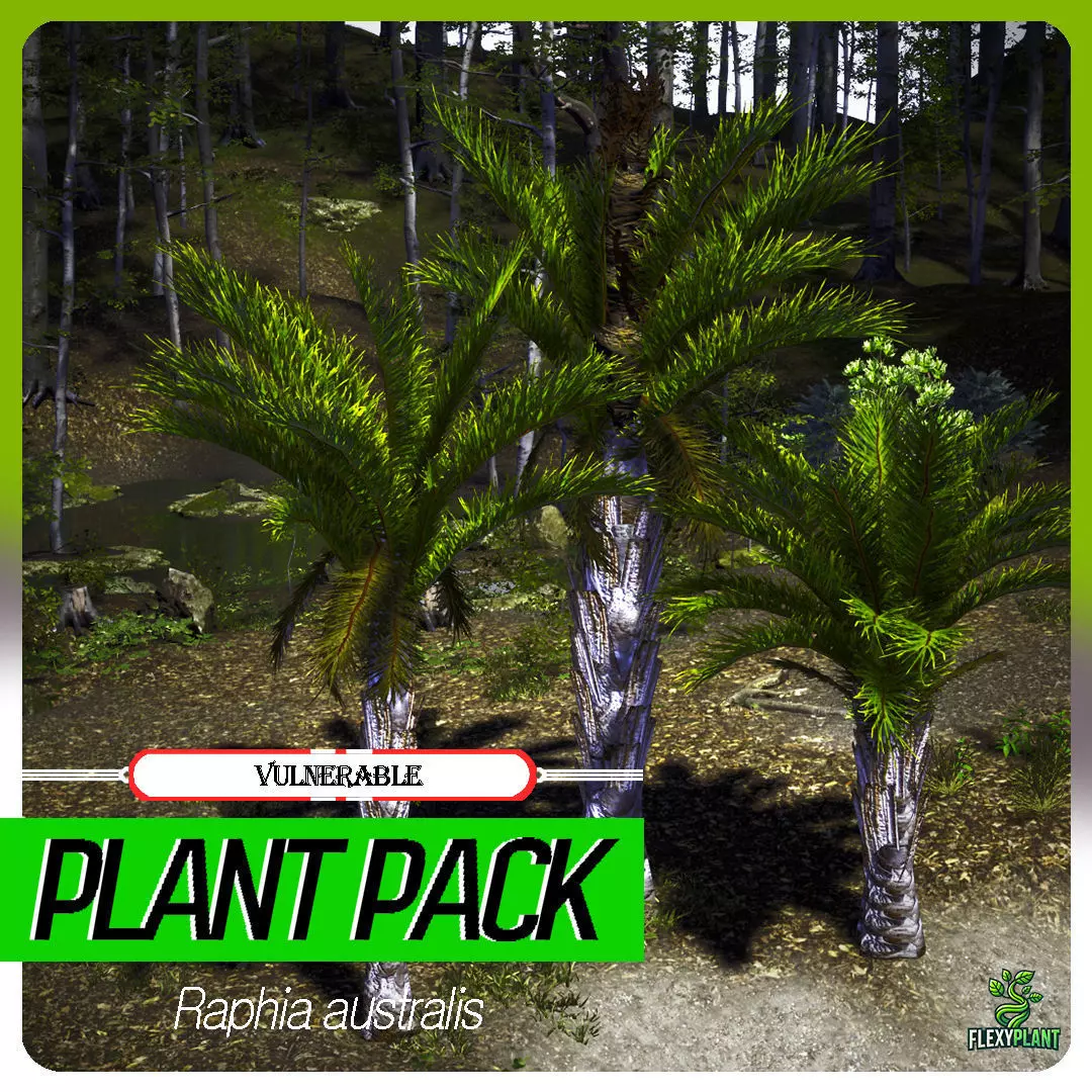 Vulnerable Plant - 6 Raphia australis Conifer Fruit Tree Low-poly 3D model_0