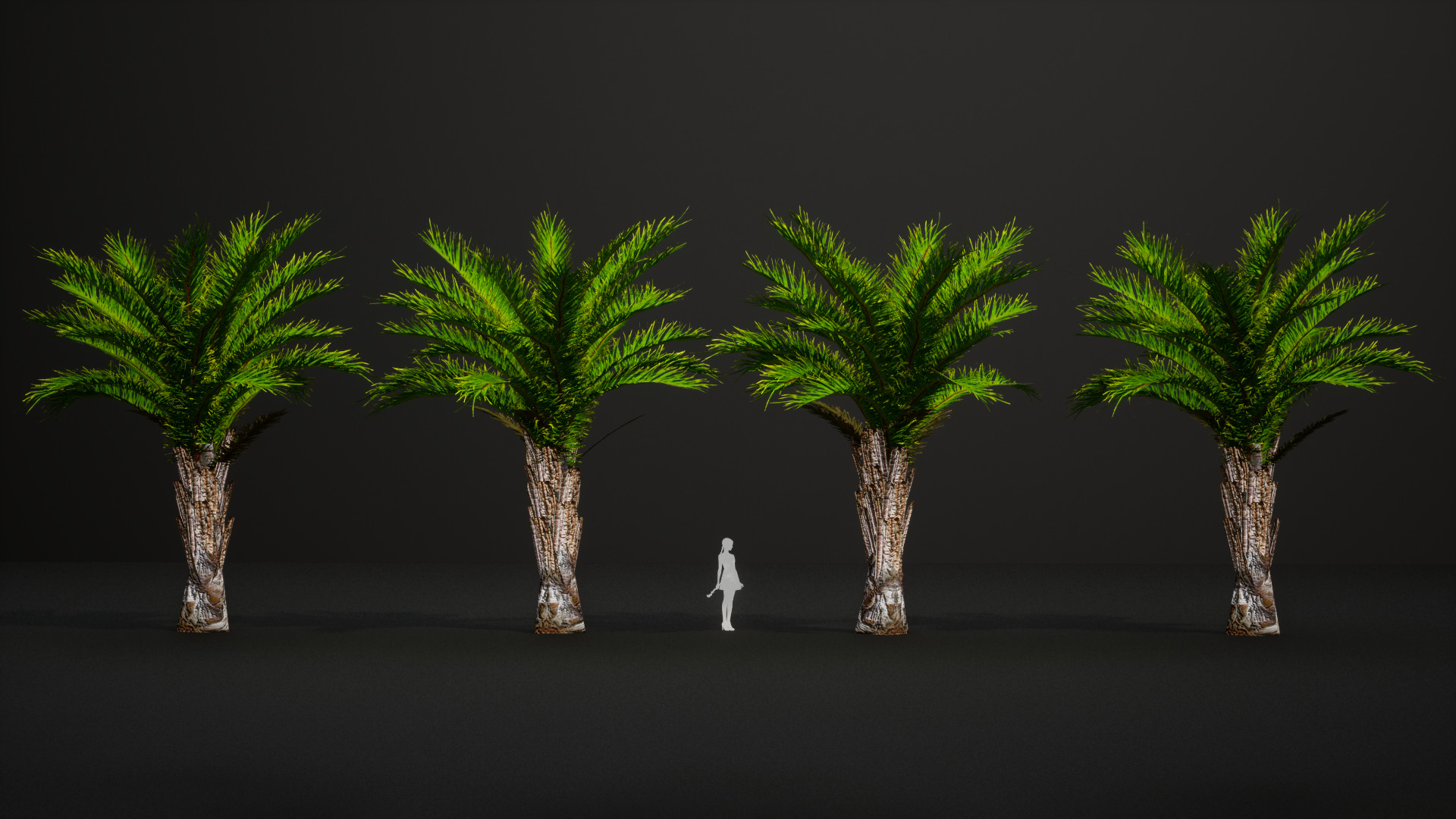 Vulnerable Plant - 6 Raphia australis Conifer Fruit Tree Low-poly 3D model_5