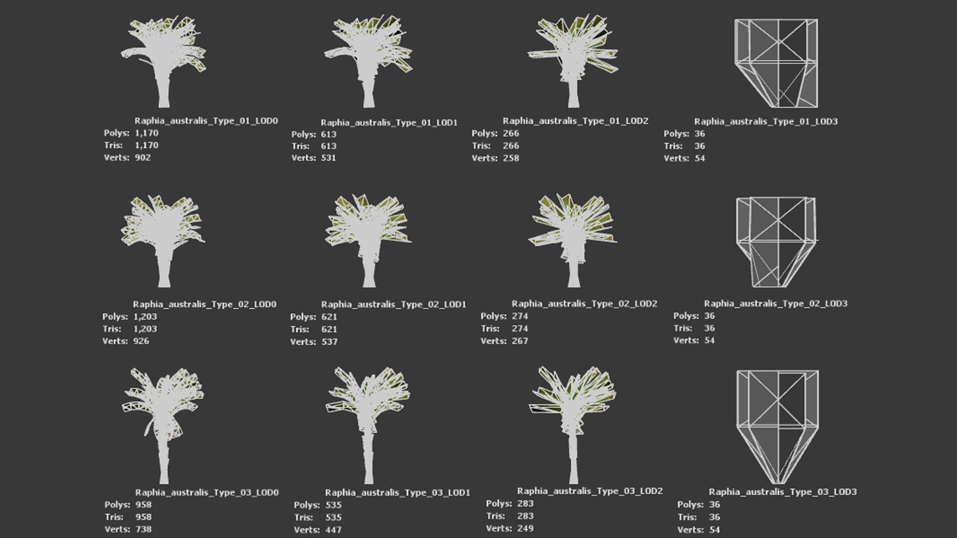 Vulnerable Plant - 6 Raphia australis Conifer Fruit Tree Low-poly 3D model_10