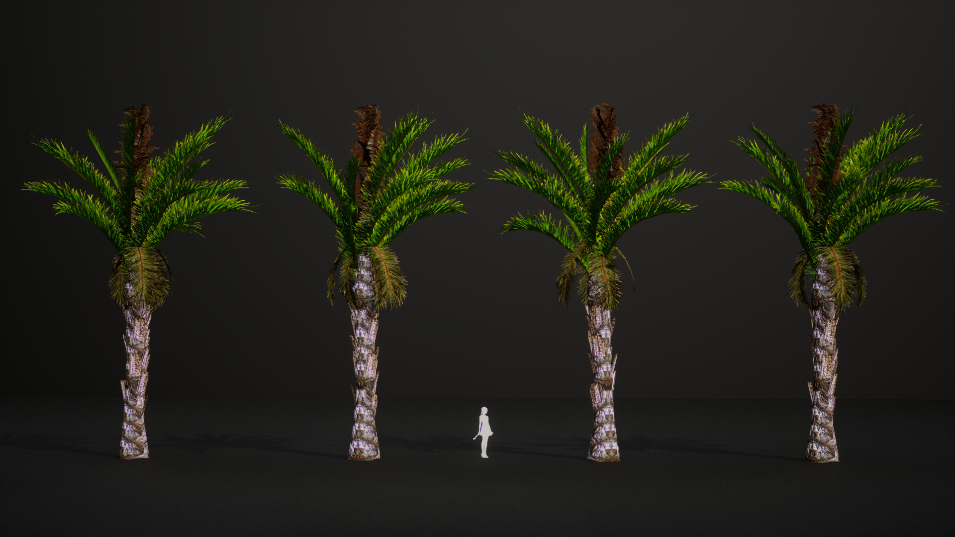 Vulnerable Plant - 6 Raphia australis Conifer Fruit Tree Low-poly 3D model_8