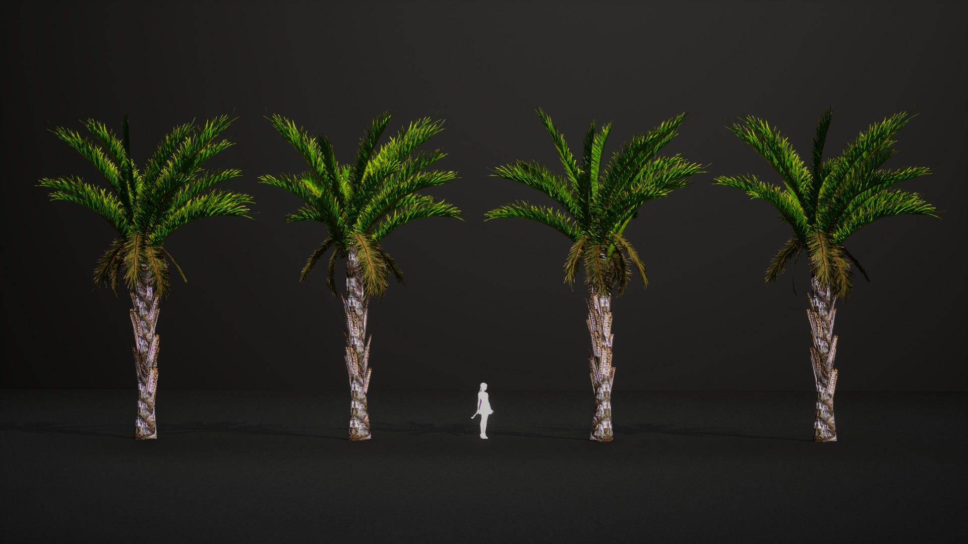 Vulnerable Plant - 6 Raphia australis Conifer Fruit Tree Low-poly 3D model_6