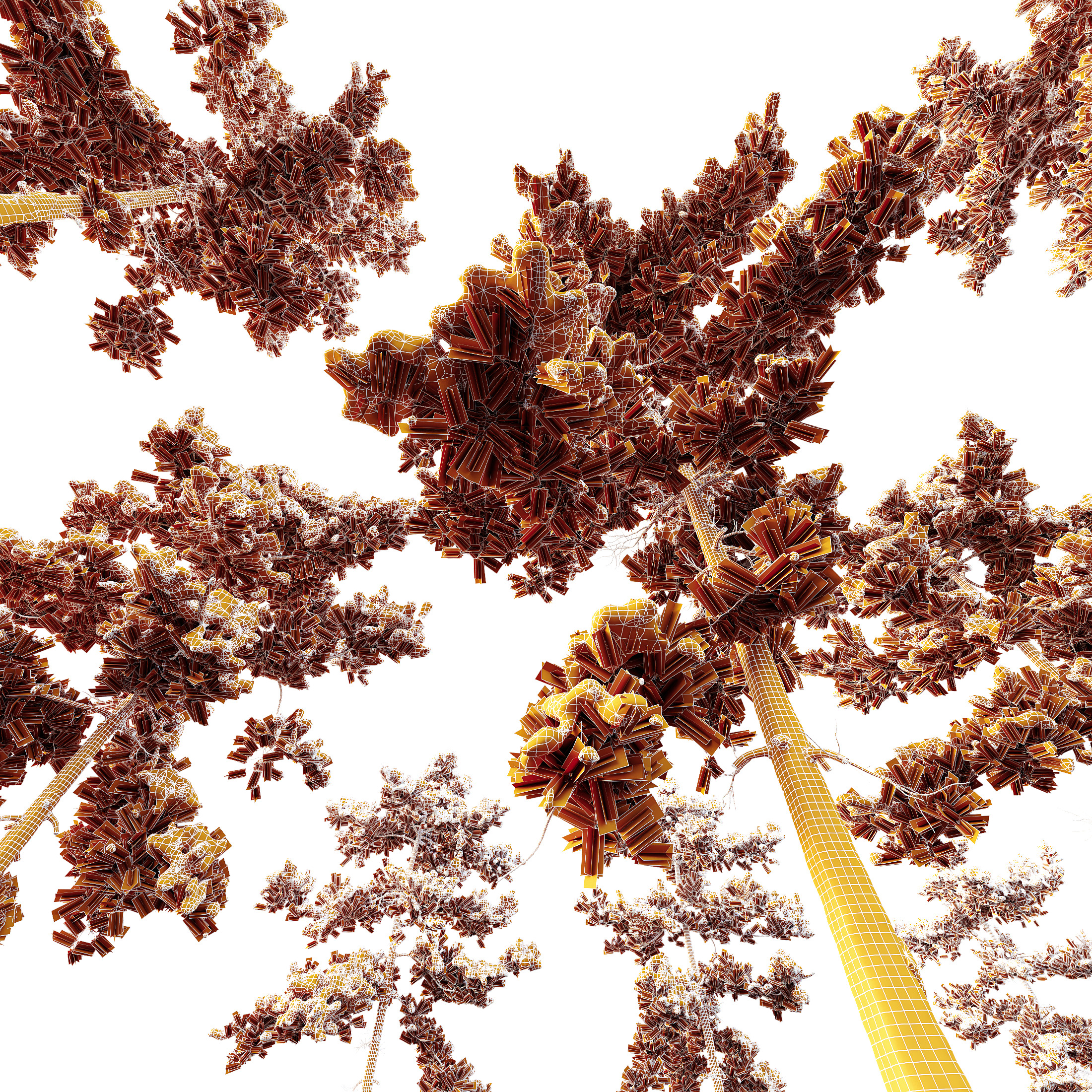 AV Plants Pinus Echinata Winter Snow Set03 3D model_5