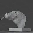 Comodo dragon bust STL 3d print file 3D print model