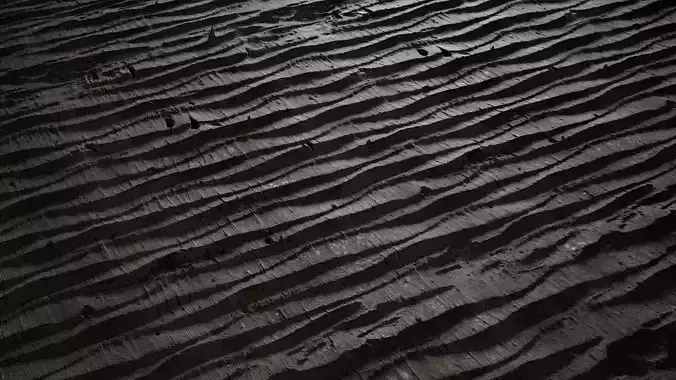 Anydrafts Cocos nucifera Bark 07