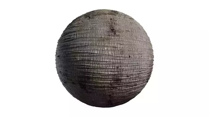 Anydrafts Cocos nucifera Bark 08