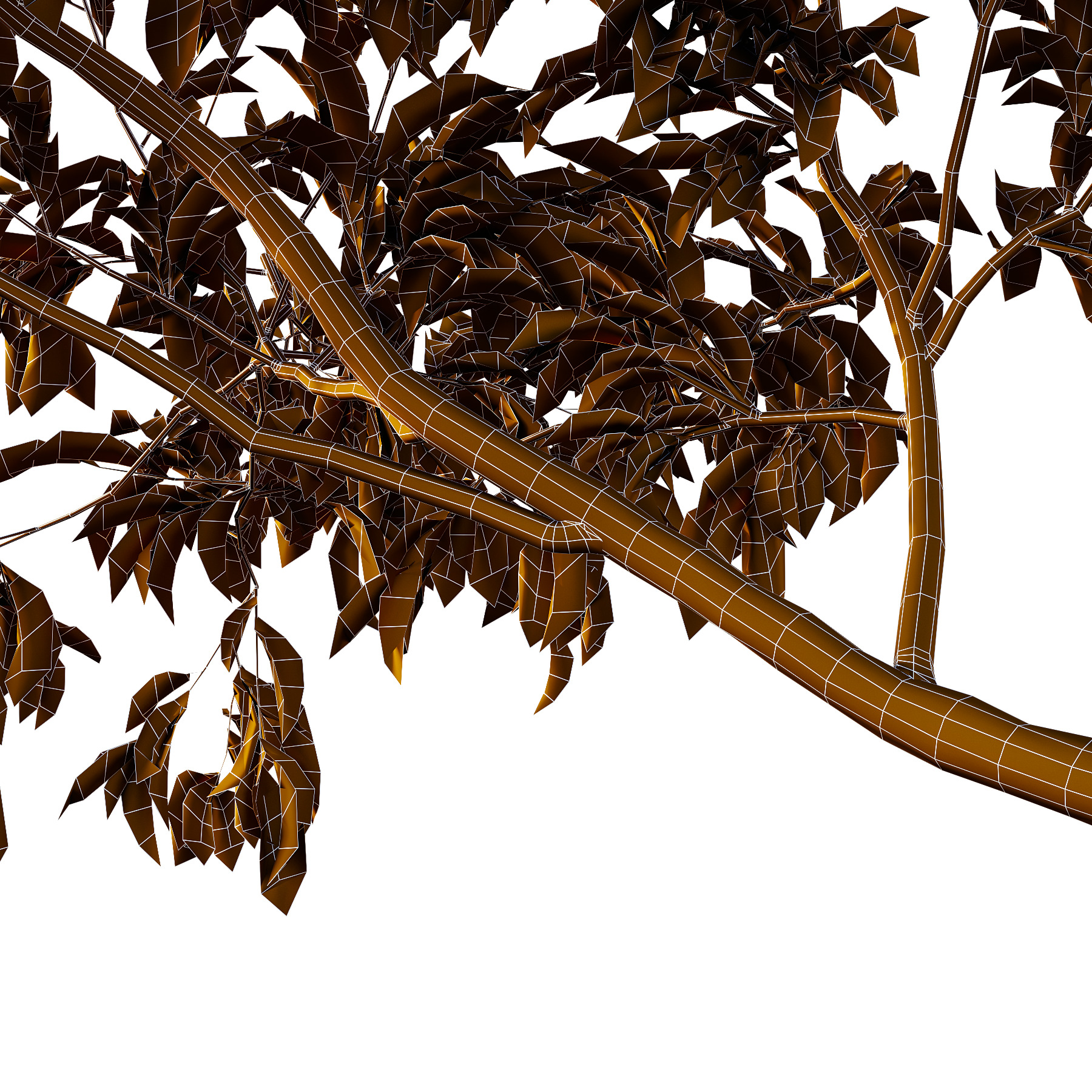 Diospyros Kaki Tree 01 3D model_3