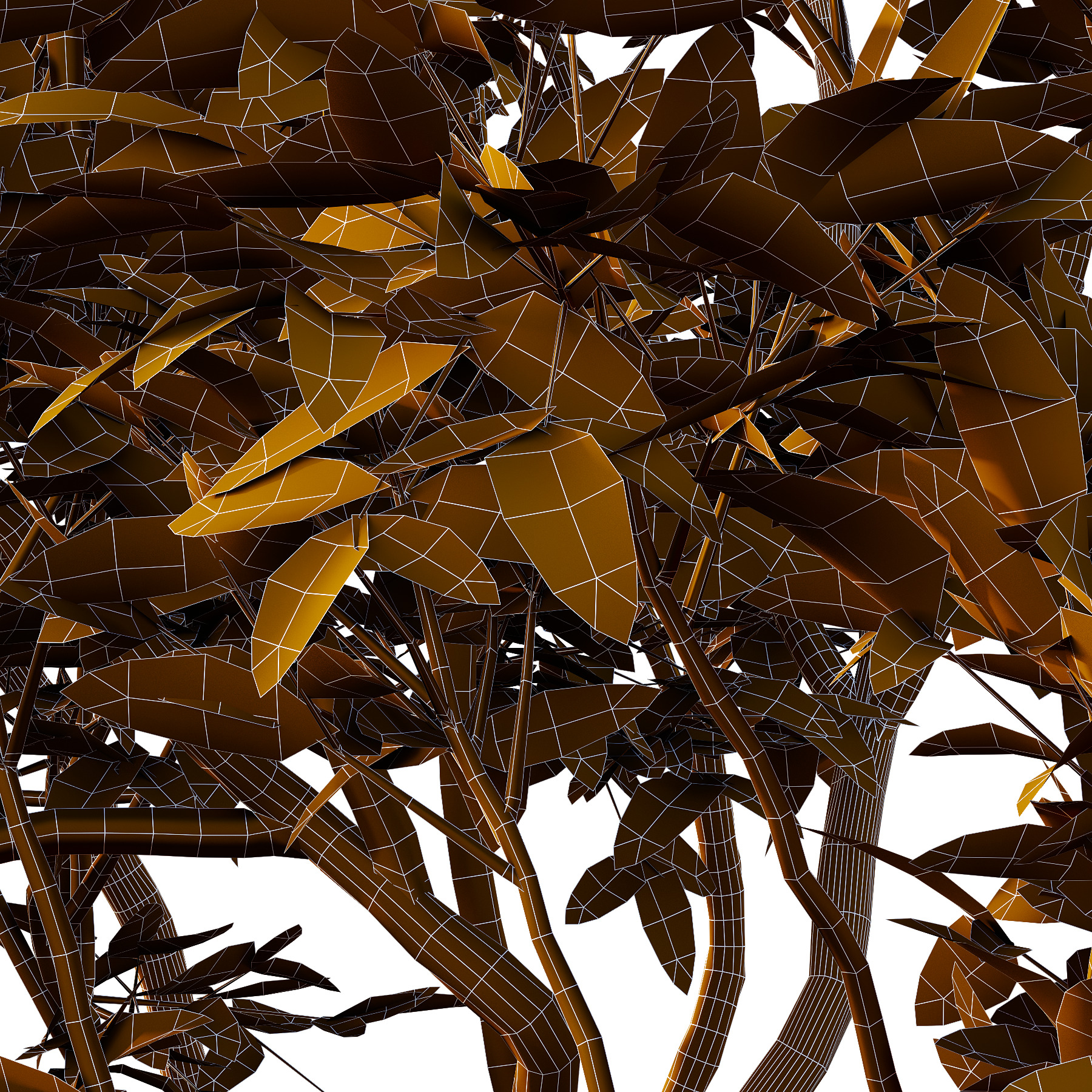 Eucalyptus Robusta Trees 09 3D model_3