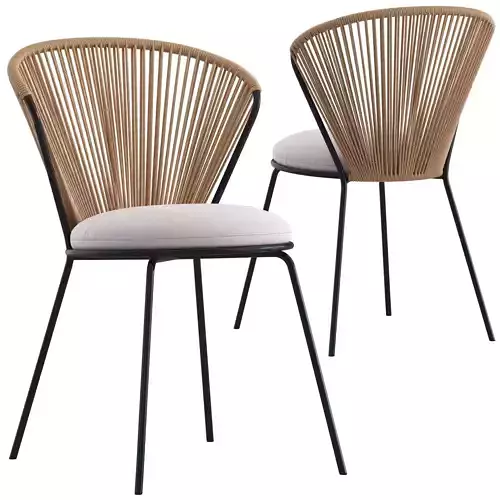 CB2 Peek Rattan Dining Chair