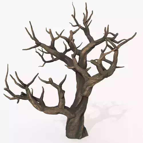 Aquarium Snag V1 1 3D model