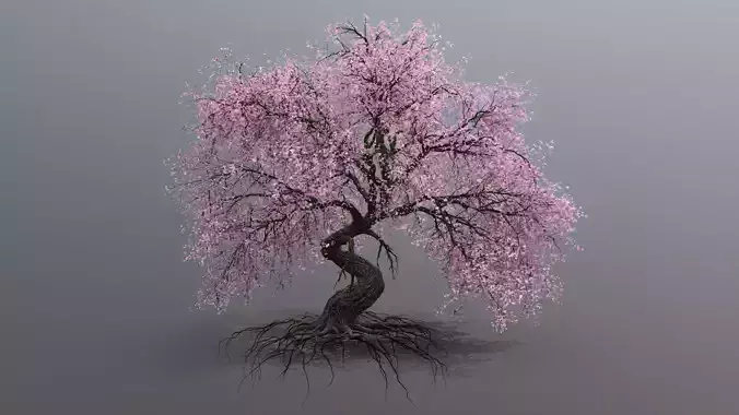 cherry tree Low-poly 3D model