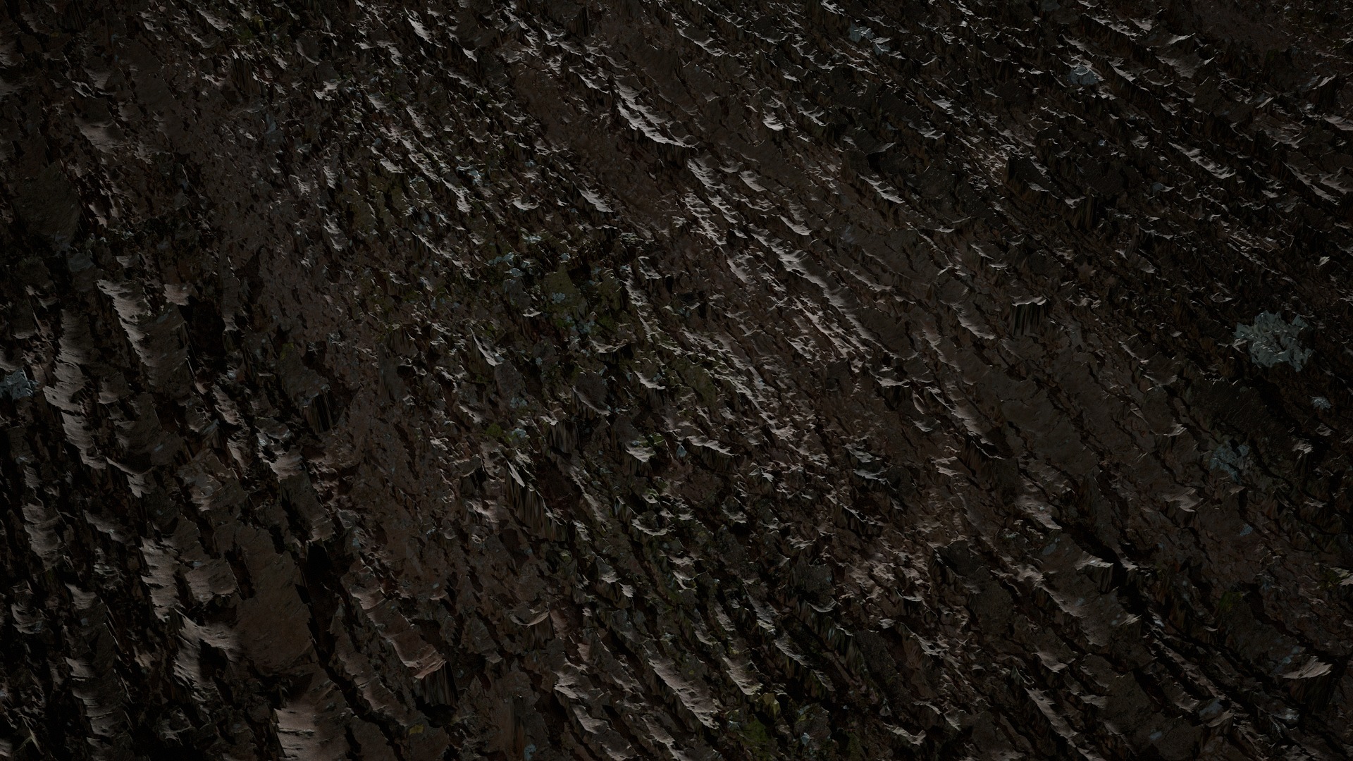 Anydrafts Davidia involucrata Bark 01 Texture_2