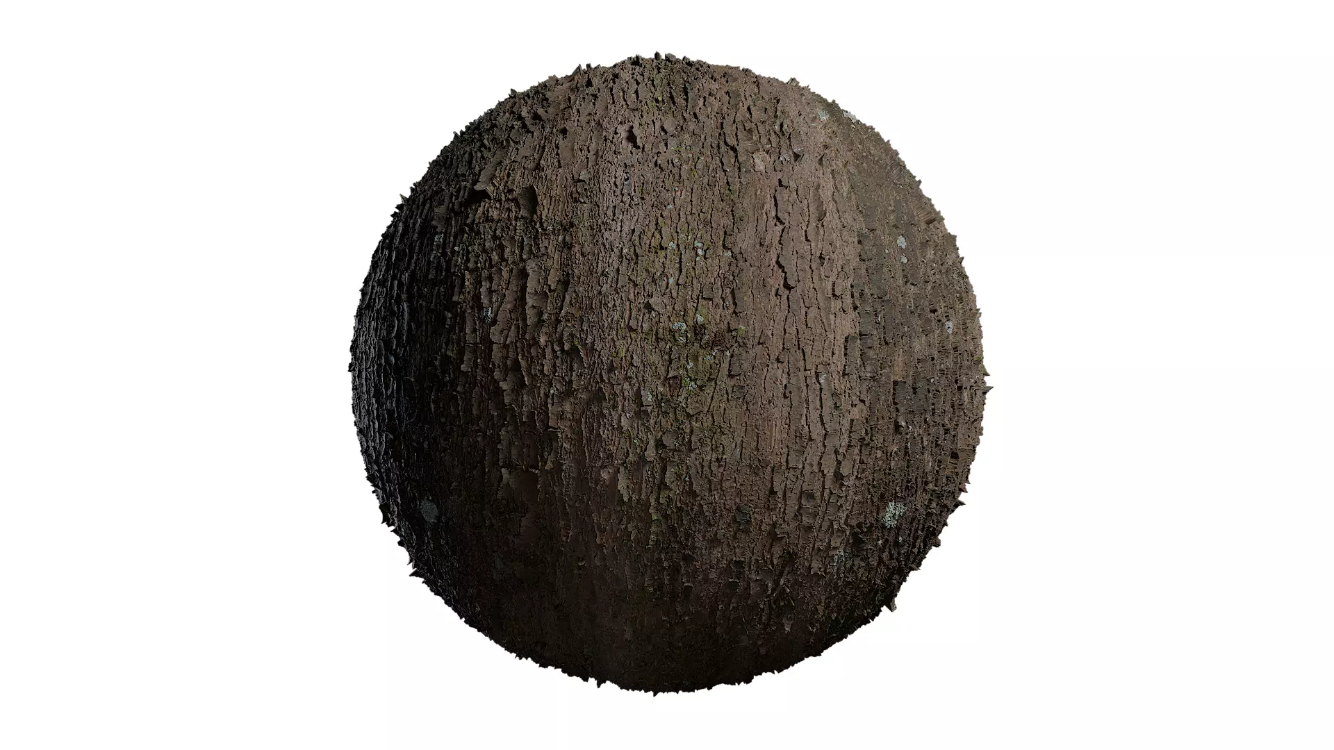 Anydrafts Davidia involucrata Bark 01 Texture_0