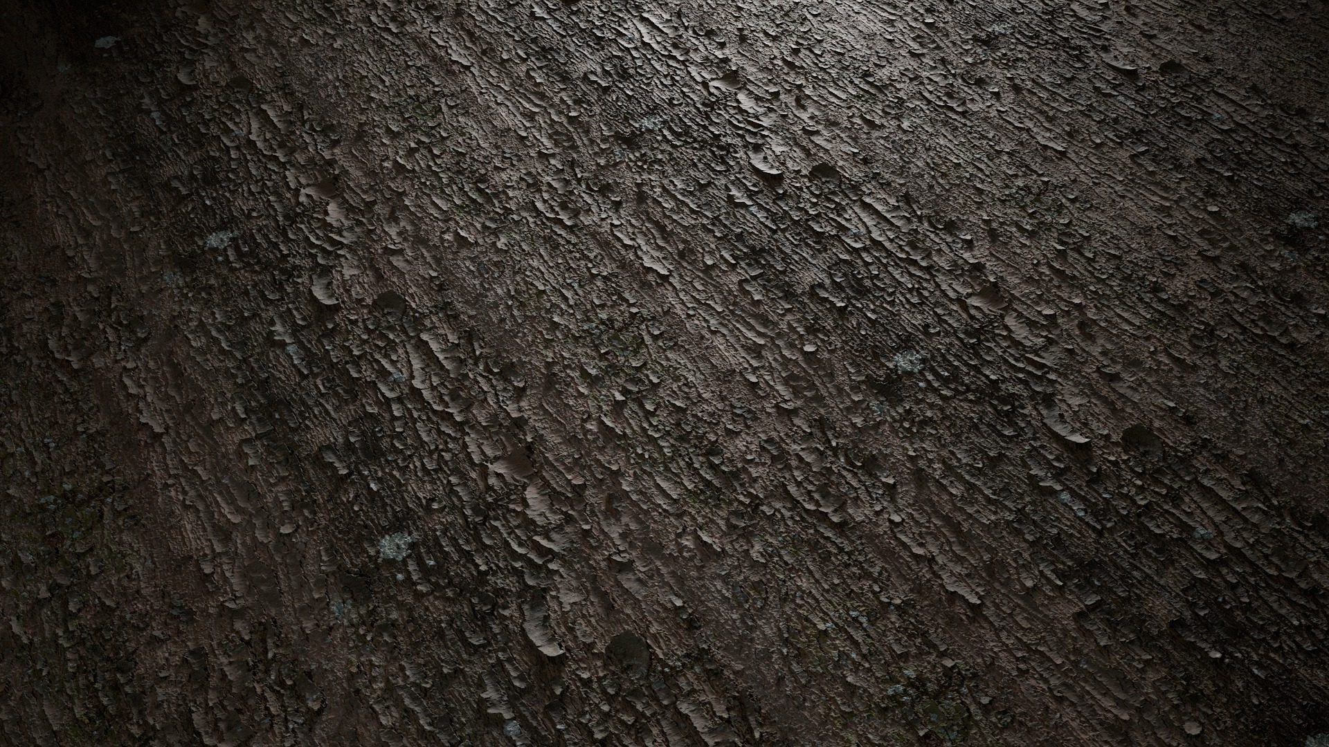 Anydrafts Davidia involucrata Bark 01 Texture_4