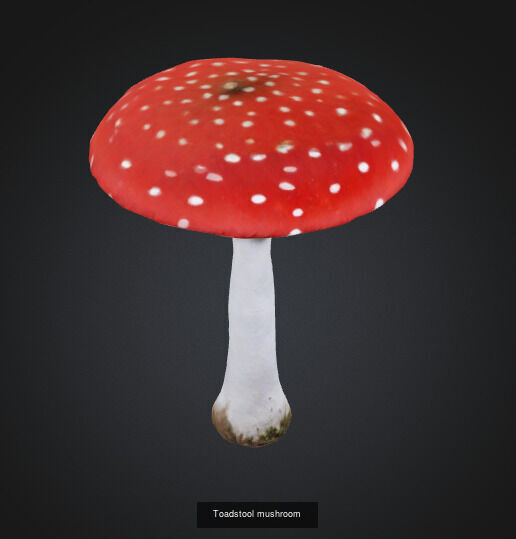 Mushroom 3D Model Collection_2