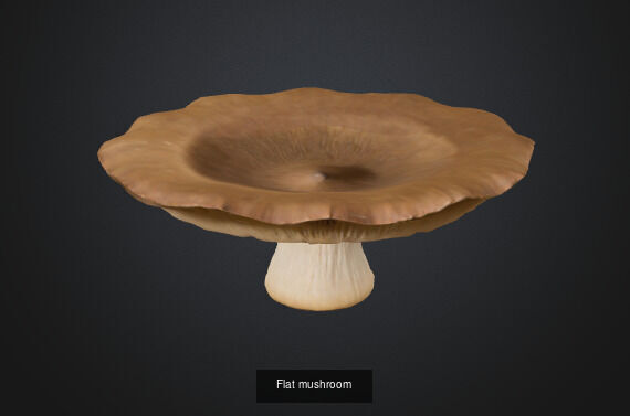Mushroom 3D Model Collection_4