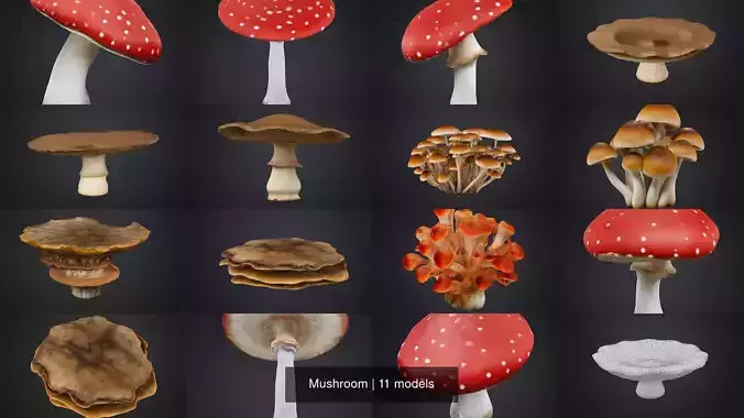 Mushroom 3D Model Collection