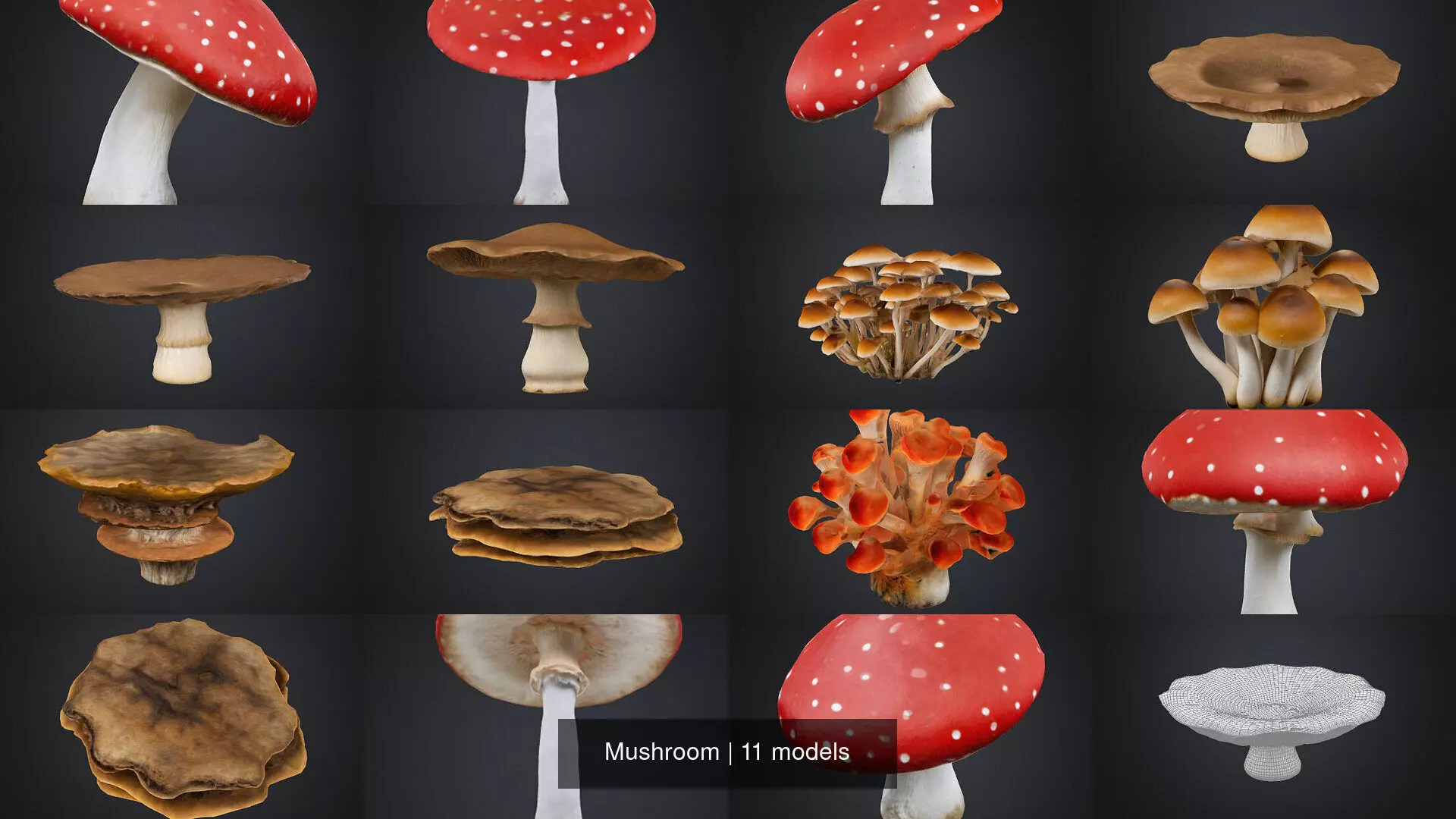 Mushroom 3D Model Collection_0