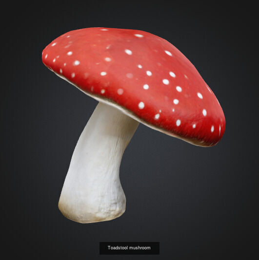 Mushroom 3D Model Collection_1
