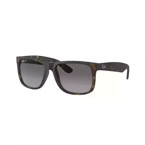 Ray Ban Justin 3D model
