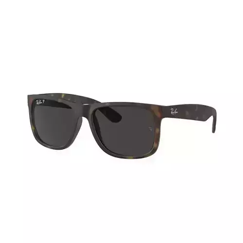Ray Ban Justin 3D model
