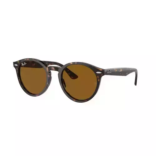 Ray Ban Larry