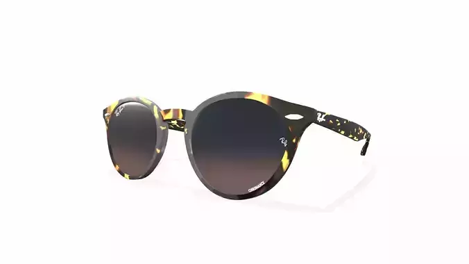 Ray Ban Larry