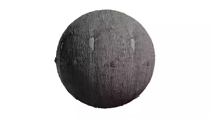 Anydrafts Ginkgo biloba Bark 02