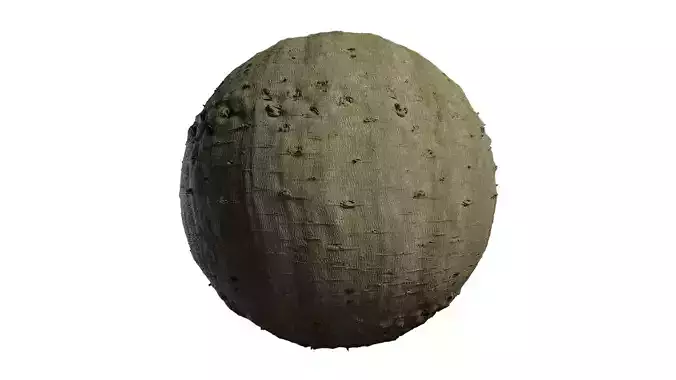 Anydrafts Hibiscus mutabilis Bark 01