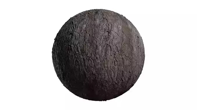 Anydrafts Hippophae rhamnoides Bark 02